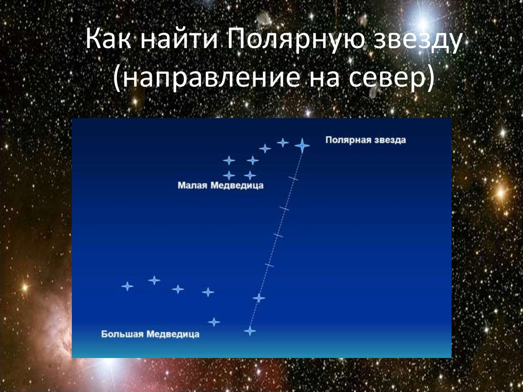 Дневные звезды презентация