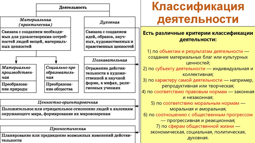 Многообразие видов деятельности обществознание 6 класс