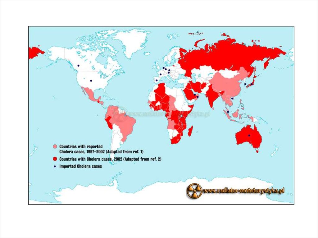 Самые распространенные инфекционные заболевания в мире
