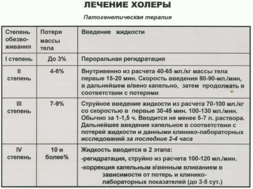 В лечении холеры на первый план выходит борьба с тест