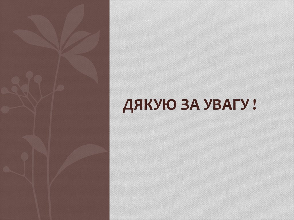 Дякую за увагу !