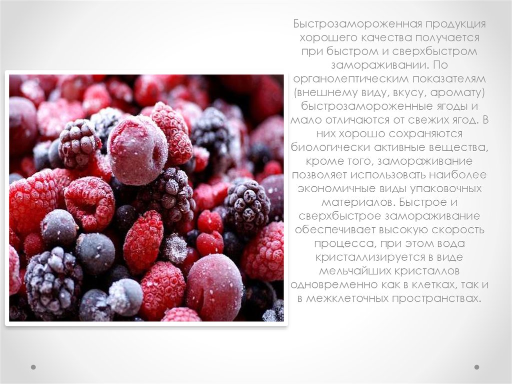 Каких заморозков не существуют. Ягоды для заморозки. Быстро замороженые плоды и ягоды. Замораживание плодов и овощей. Технология замораживания плодов, ягод , овощей.