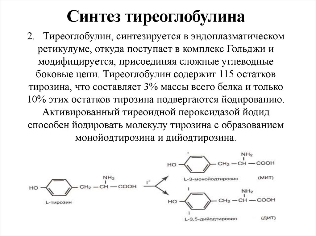 Синтез йодтиронинов схема