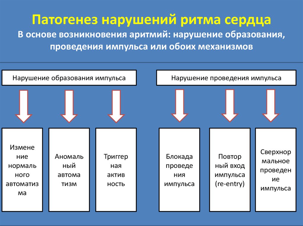 Блок схема аритмии