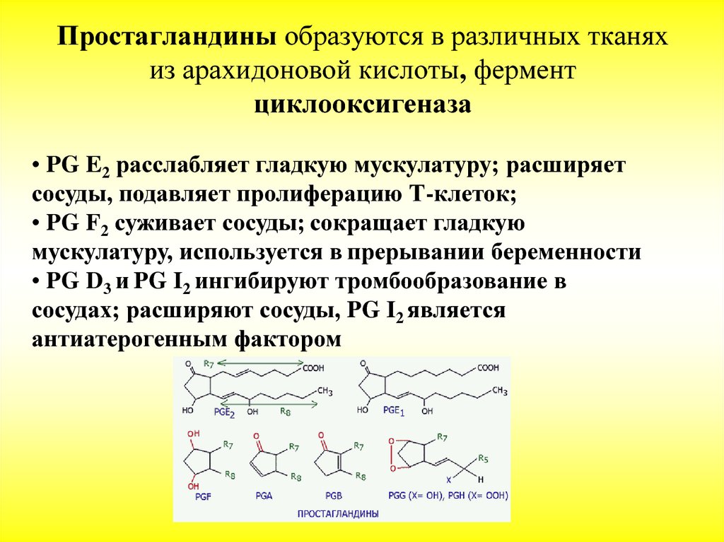 Простогландин. Простагландины источники образования. Простагландины из арахидоновой кислоты. Простагландин е2 локализация. Простагландин е2 Синтез.