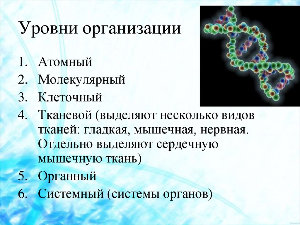 Молекулярный уровень жизни значение и роль в природе презентация 11 класс