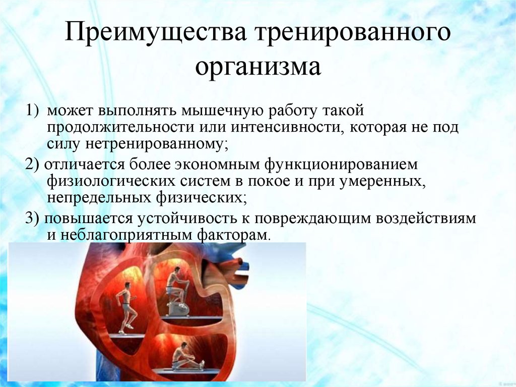 Преимущества человека. Преимущества тренированного человека. Особенности тренированного организма. Особенности физически тренированного организма. Преимущество тренировочного организма.