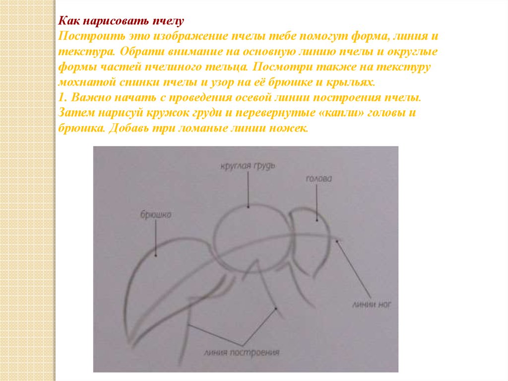 Рисуем пчелу презентация