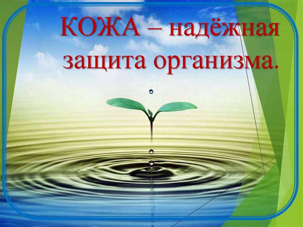 Окружающий мир надежная защита организма презентация. Воспитание в поликультурной среде. Поликультурное воспитание младших школьников. Воспитание толерантности у младших школьников. Толерантность для младших школьников.