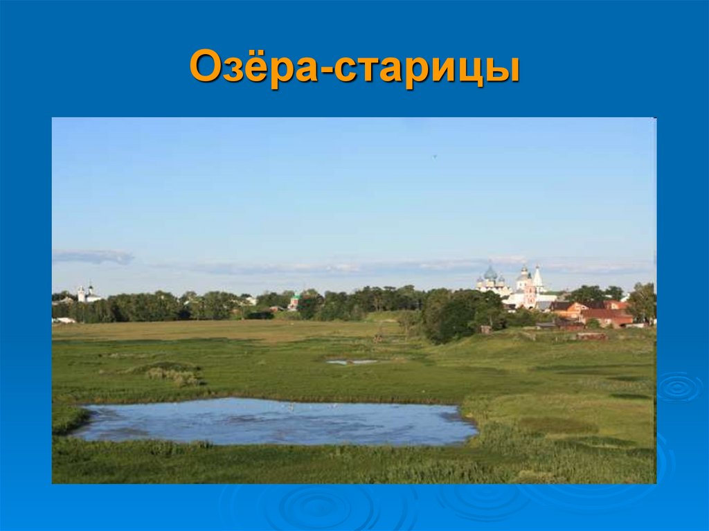 Озеро старица новосибирская область