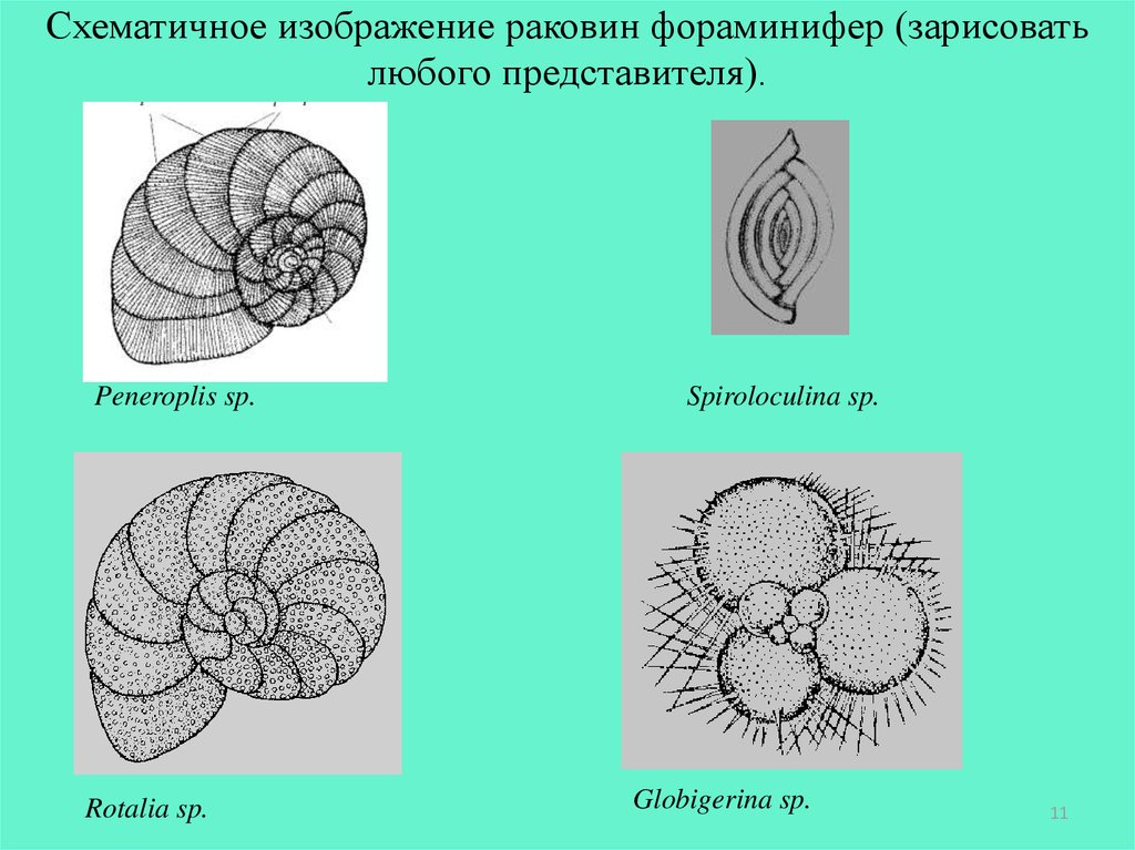 Зарисовать