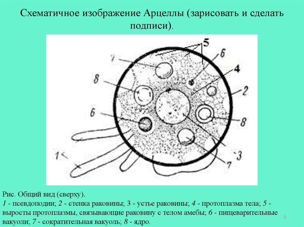 Схематичное изображение это