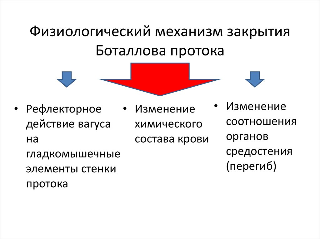 Физиологический механизм закрытия Боталлова протока