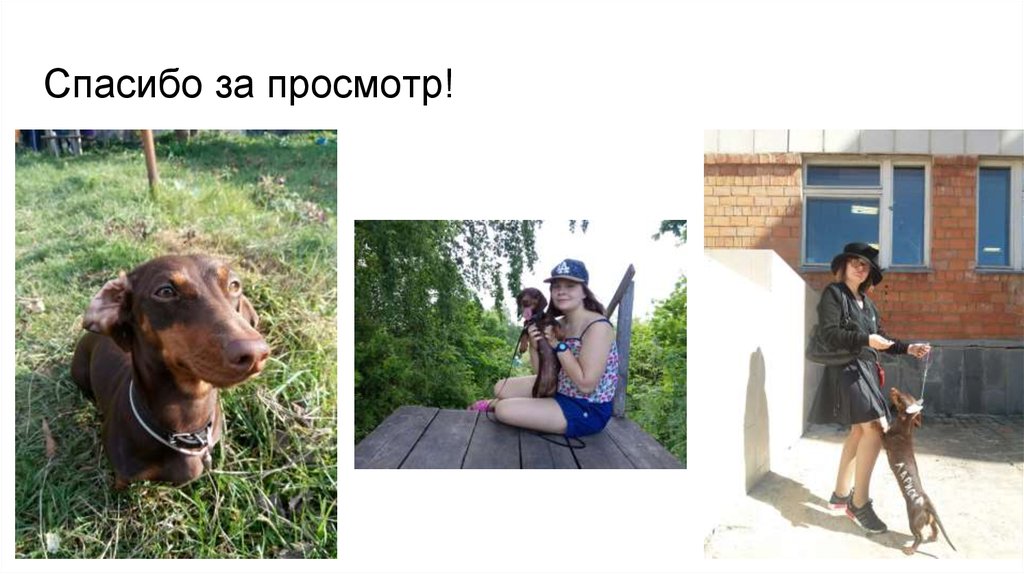 Спасибо за просмотр!