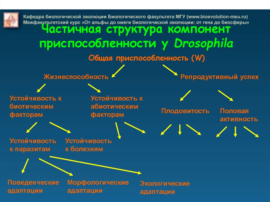 Значение изменчивости. Начало биологической эволюции. Охарактеризуйте роль изменчивости в эволюционном процессе. Непрерывная и прерывистая изменчивость. Главный материал биологической эволюции это.