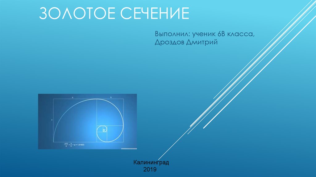 Золотое сечение проект 7 класс