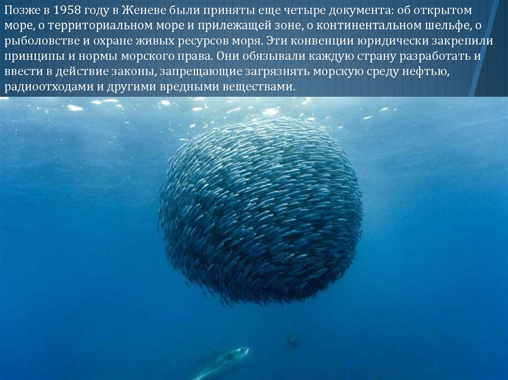 Газы в мировом океане. Правовая охрана морской среды. Международно-правовая охрана мирового океана. Международные конвенции в море. Защита среды мирового океана.