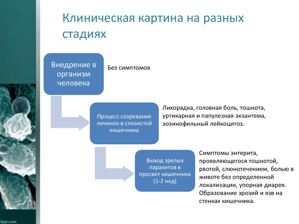 Клиническая картина на разных стадиях