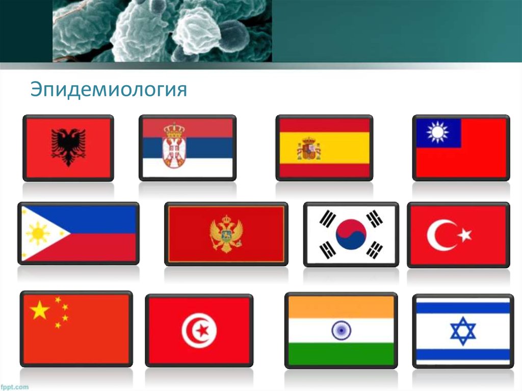 Эпидемиология