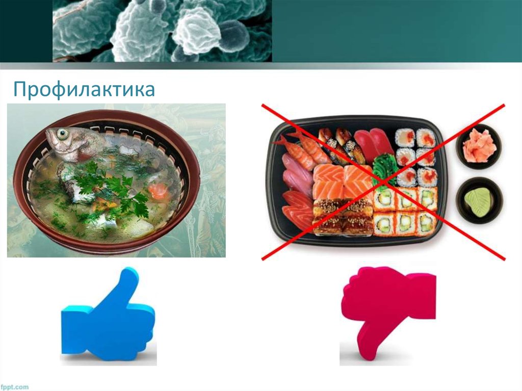 Профилактика