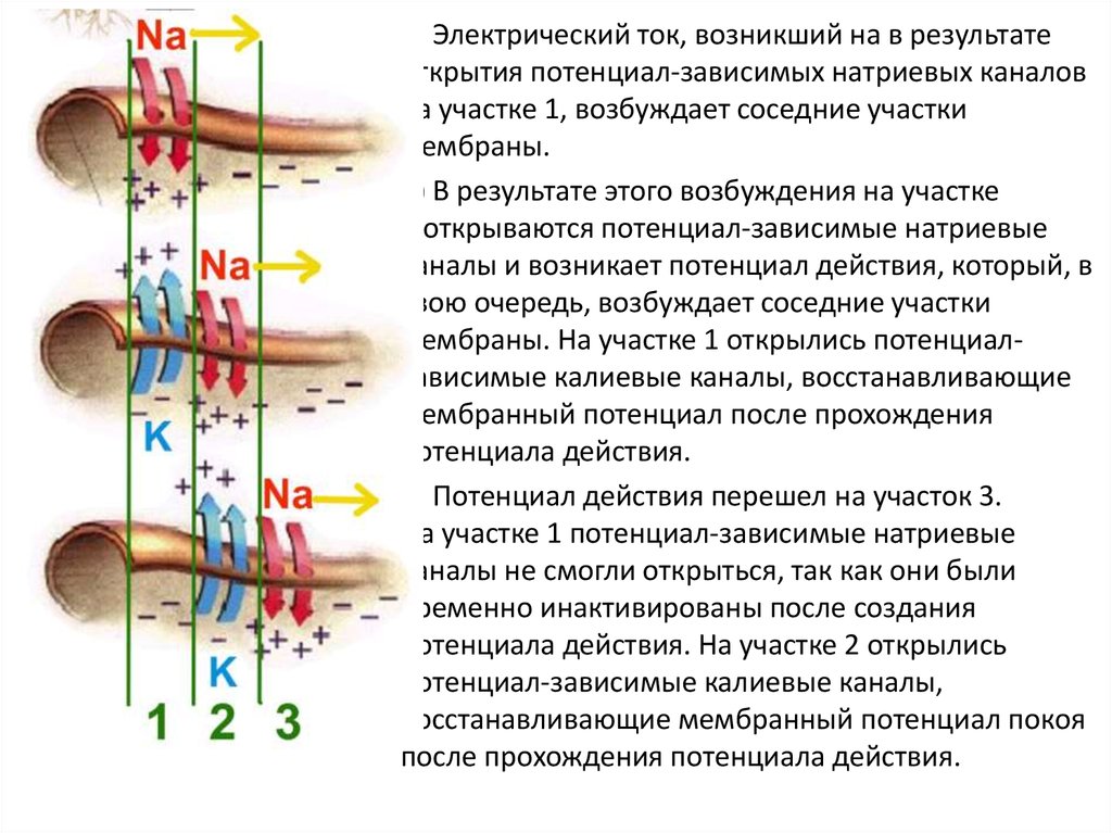 Действие земли