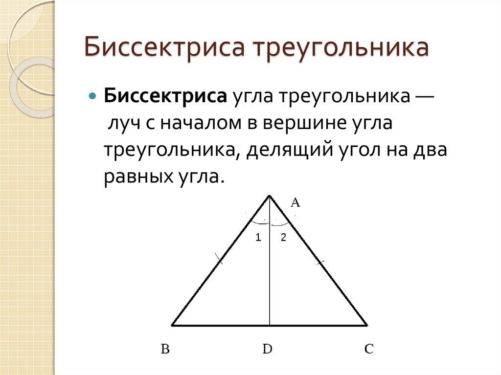 Биссектриса проведенная из вершины