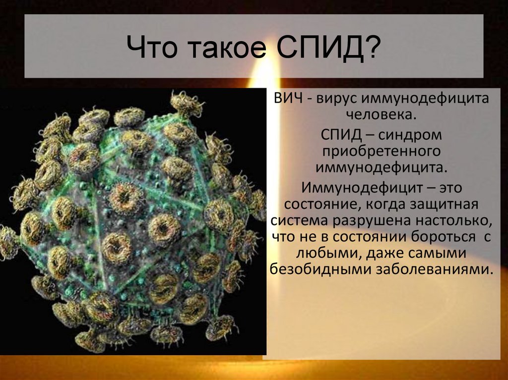 Приобретенные иммунодефициты спид. ВИЧ. Информация о вирусе СПИДА.
