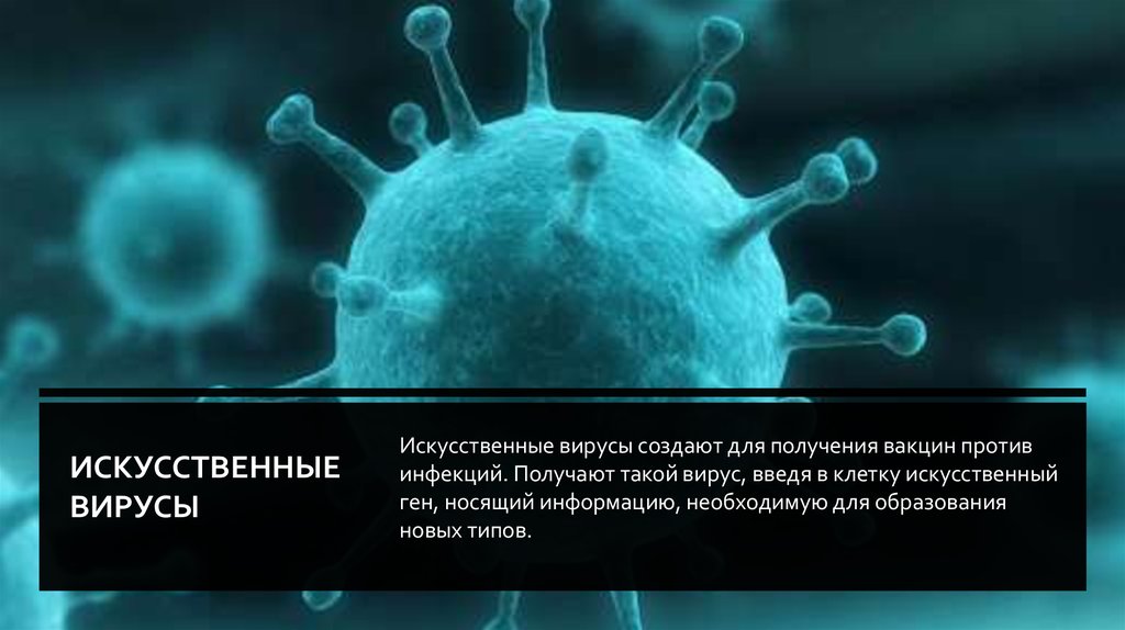 Искусственные вирусы