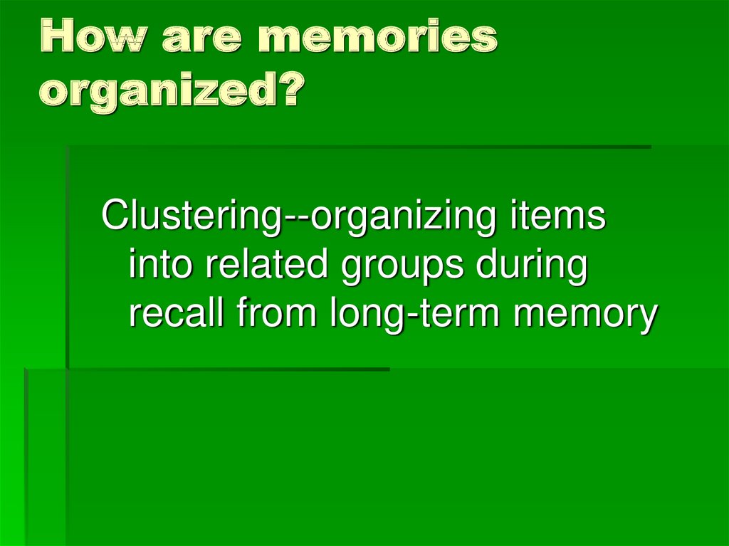 How are memories organized?