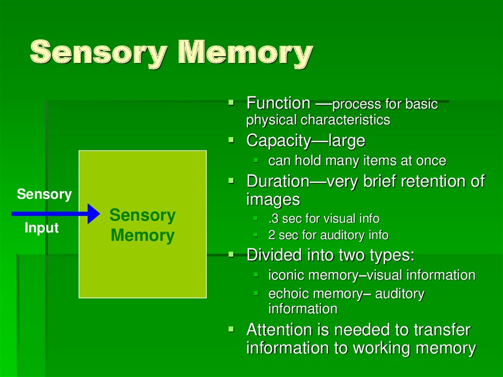 Memory Online Presentation