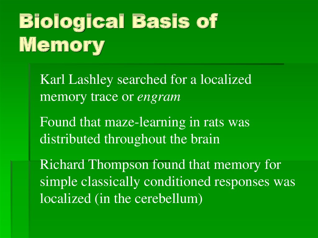 Biological Basis of Memory