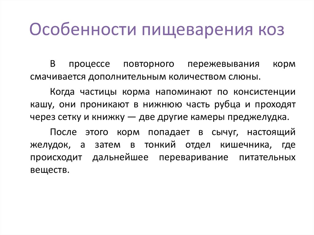 Особенности пищеварения. Особенности пищеварения коз кратко. Хозяйственный показатель особенности пищеварения овец.