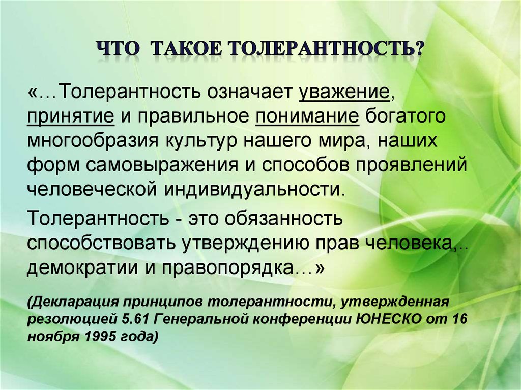 Цель проекта толерантность