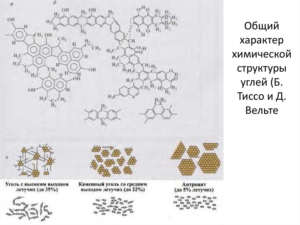 Общий характер химической структуры углей (Б. Тиссо и Д. Вельте