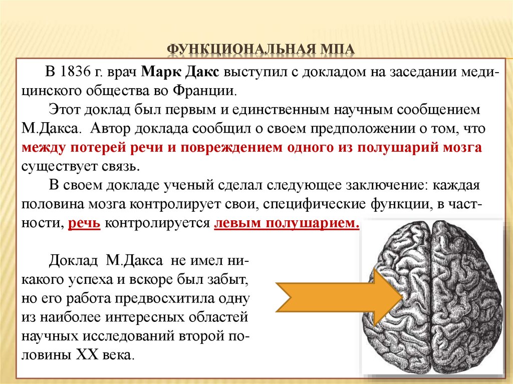 Реферат: Функциональная асимметрия мозга 2