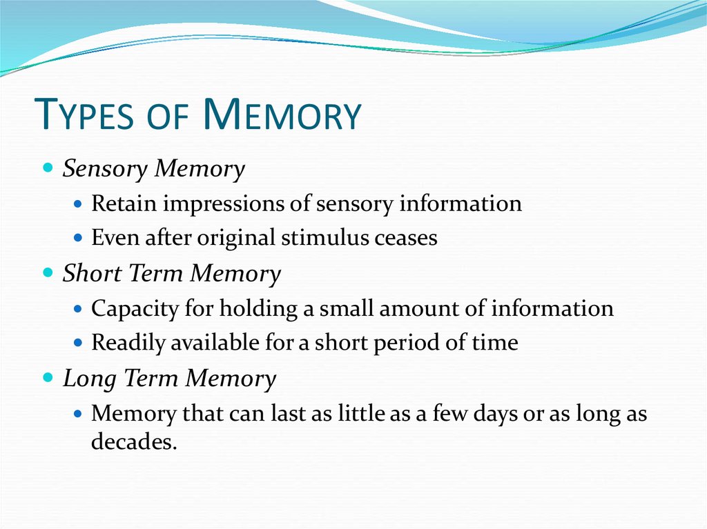 bergson 2 types of memory