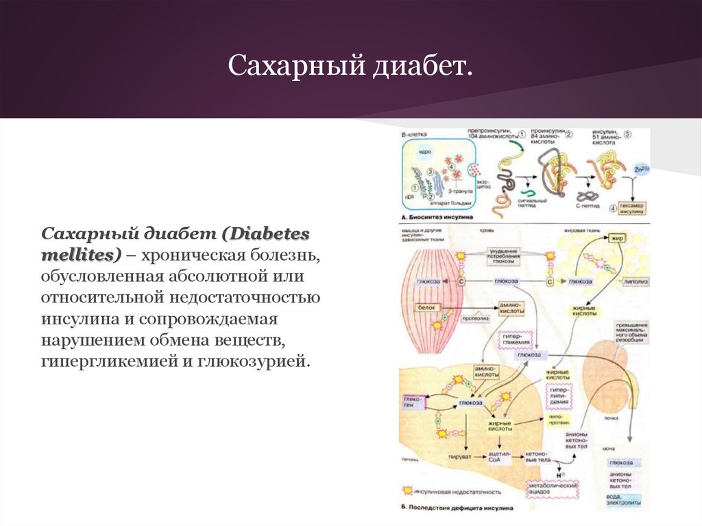 Сахарный диабет у животных