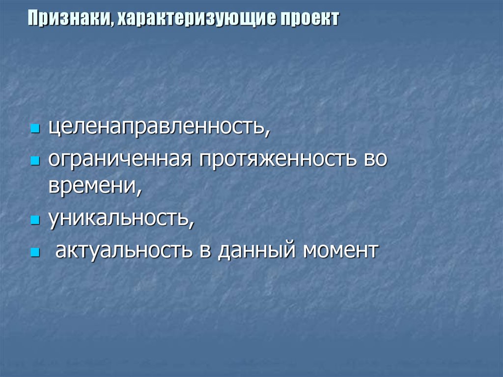 Одно из понятий которое характеризует проект как успешный