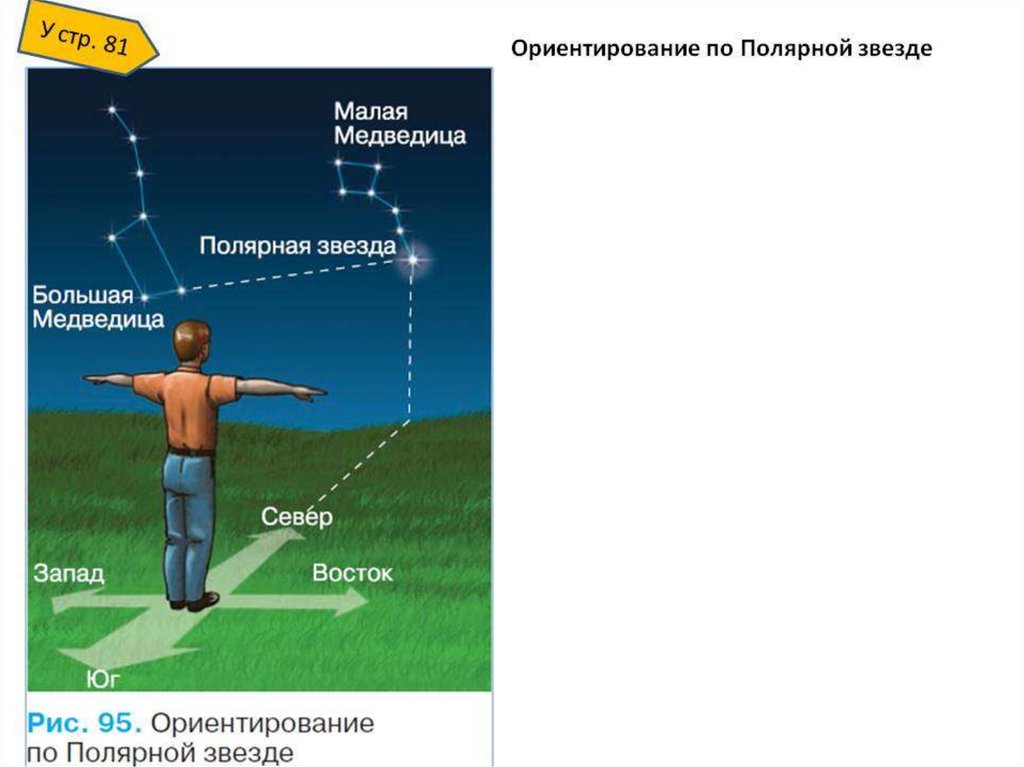 Презентация 5 класс география полярная звезда. Ориентировка по звездам. Лицом к полярной звезде. Стать лицом к полярной звезде. Особенности ориентирования на местности ночью.