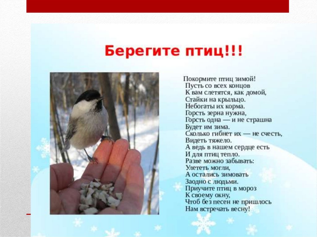 Стихотворения птицы зимой. Берегите птиц зимой. Покормите птиц зимой. Берегите птиц зимой стихи. Стихи про птиц.