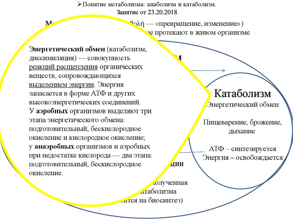 Понятие обмена. Брожение это катаболизм или анаболизм. Понятие о метаболизме. Понятие анаболизм. Энергетический обмен катаболизм.