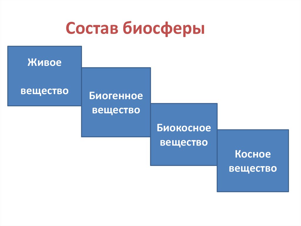 Проект эволюция биосферы