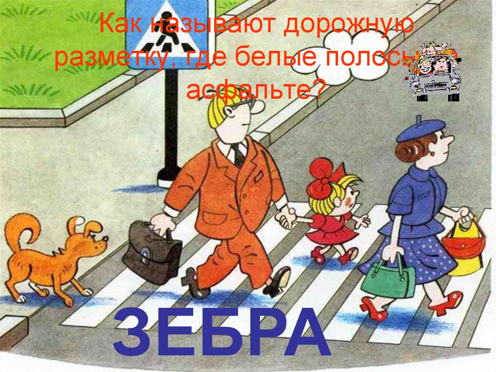 Как называют дорожную разметку, где белые полосы на асфальте?