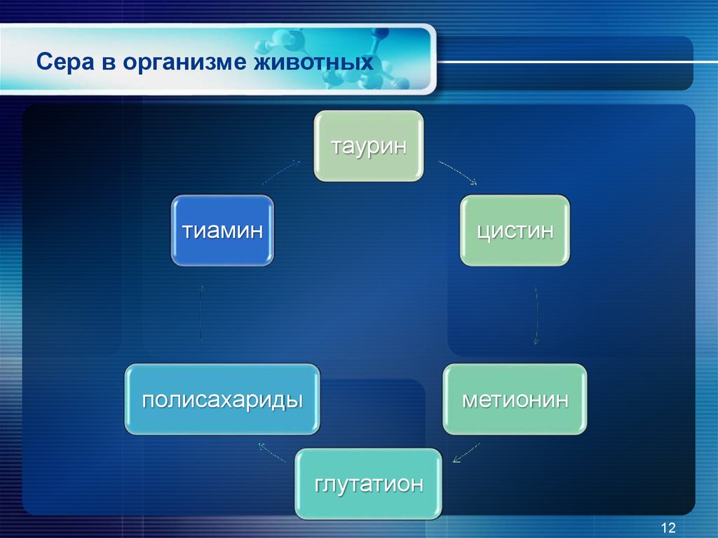 Биоэлементы это в биологии. Сера для животных.