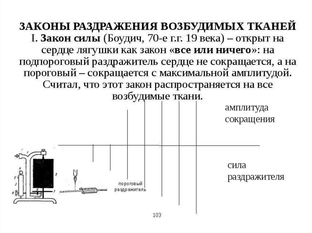 Закон частоты. Закон раздражения возбудимых тканей закон. Закон Боудича. Закон длительности раздражения возбудимых тканей. Закон частоты раздражения физиология.