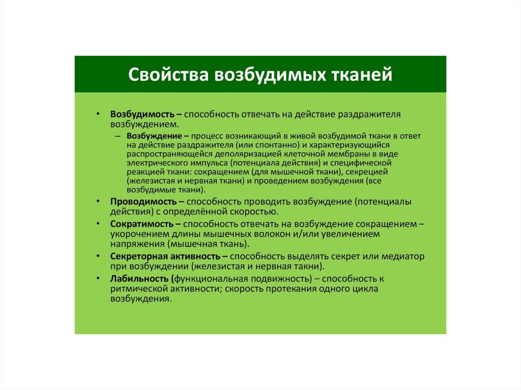 Возбудимость ткань свойства. Свойства возбудимых тканей. Возбудимость проводимость лабильность. Возбудимость характеризуется. Понятие возбудимости.