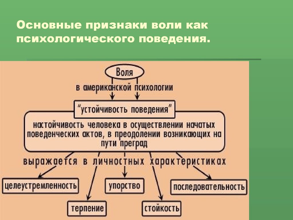 Проявления воли человека