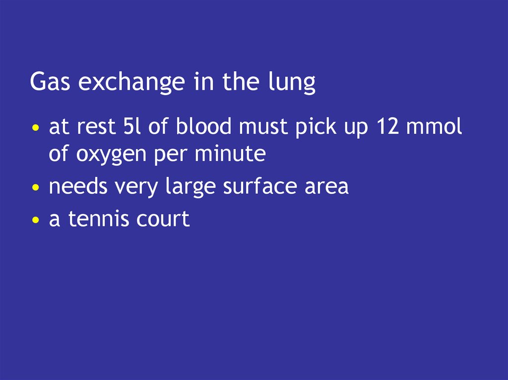 Gas exchange in the lung