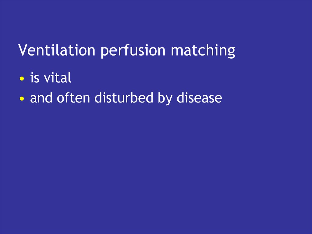 Ventilation perfusion matching