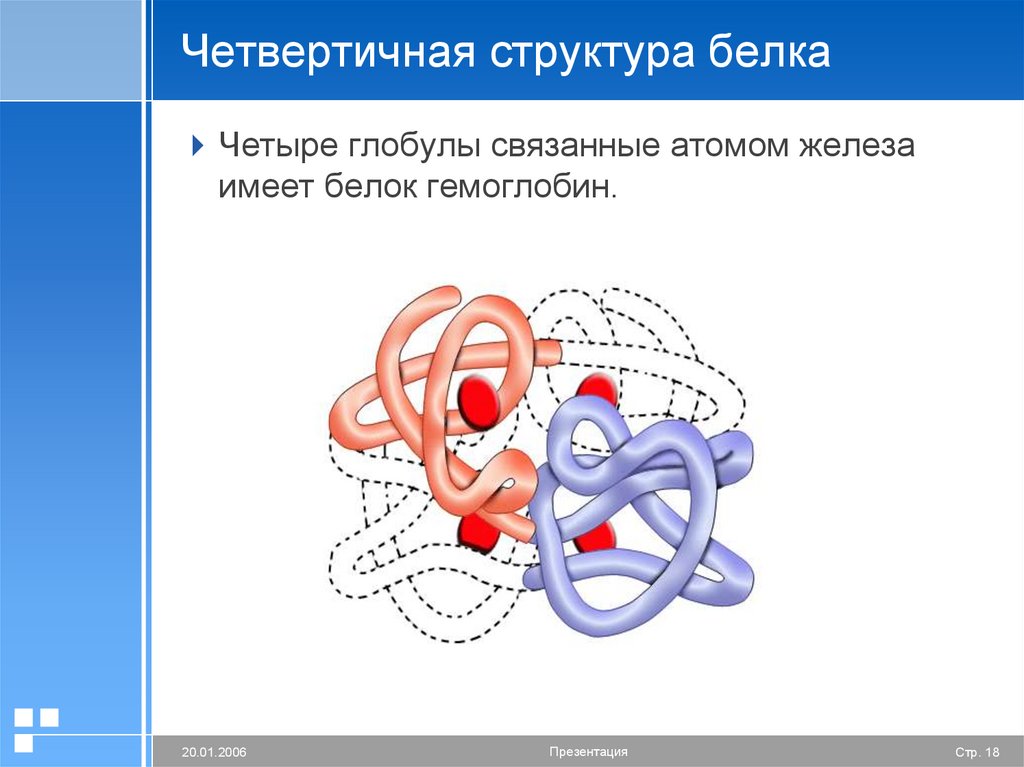 Четвертичная структура белка водородные связи. Четвертичная структура белка связи. Четвертичная структура связи. Четвертичная структура белка функции. Характеристика четвертичной структуры белка.